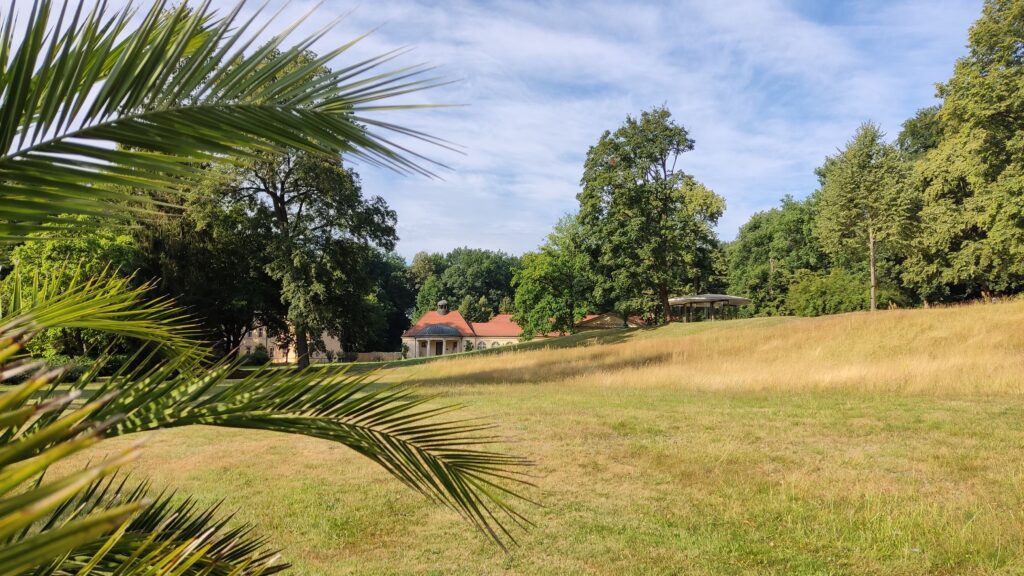 Eine Grüne Wiese, umrahmt von Palmen und Laubbäumen, in der Ferne ein barockes Schloss.